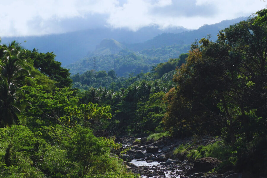 Filipiny Negros – co warto zobaczyć